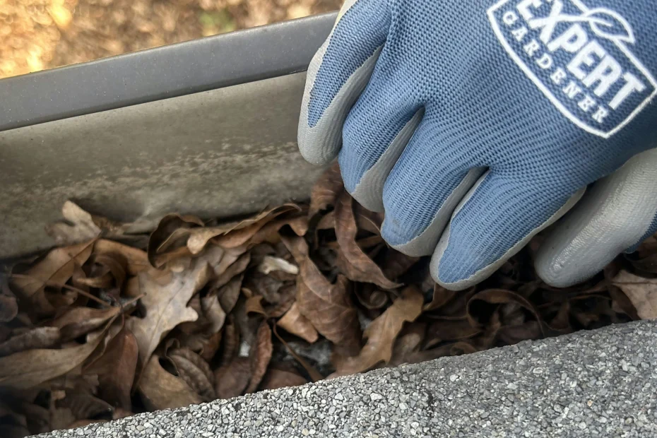 Bayonne Gutter Cleaning